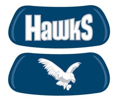 HAWKS / bird