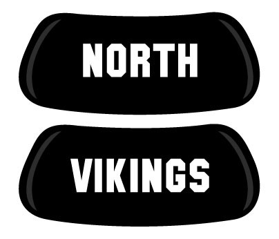 NORTH VIKINGS