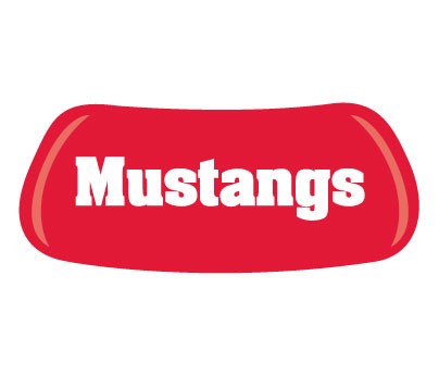 Mustangs Original EyeBlack