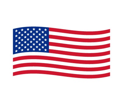 USA Flag Shaped Face Stickers