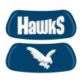 HAWKS / bird
