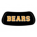 Bears