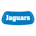 Jaguars Original EyeBlack