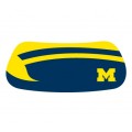 Michigan College Colors