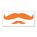 Orange Mustache
