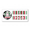 Italy Soccer Scarf 