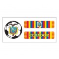 Equador Soccer Scarf 