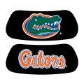 Florida Gators Original EyeBlack