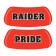 RAIDER