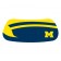 Michigan College Colors